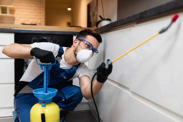 Pest Control Cost in Spokane Valley, WA