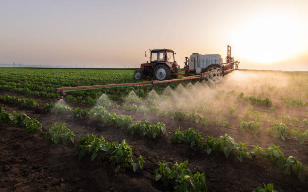 Insect Control in Spokane Valley, WA