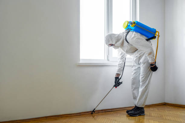 Best Best Pest Control Companies  in Spokane Valley, WA