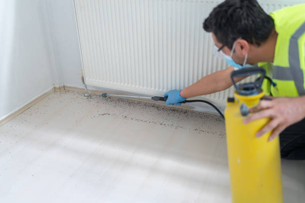 Best Emergency Pest Control  in Spokane Valley, WA